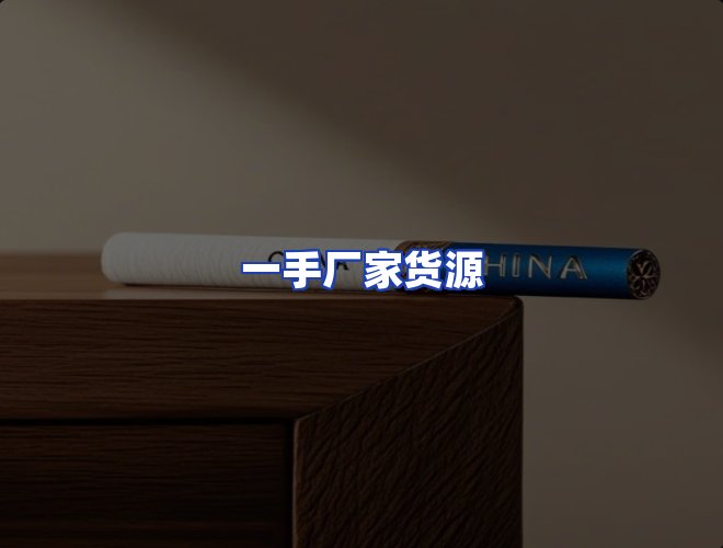 专业团队
